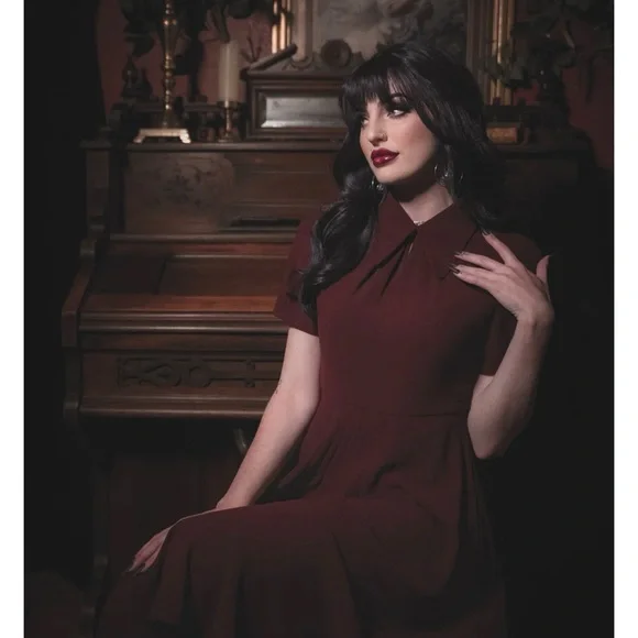 Burgundy Lively Ghosts Overlook A-Line Midi Dress - Picture 3 of 13